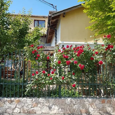 Casa Nikita Guest house