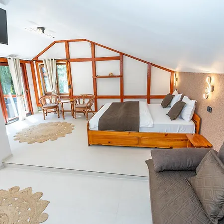 Gasthof Casa Nikita Vama Veche