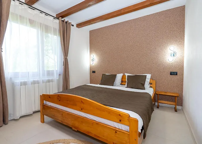 Casa Nikita Gasthuis Vama Veche